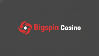 Bigspin Casino